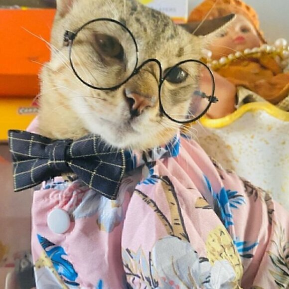 🍒 Gentleman's Plaid Bow or Tie Collar - Picture 9 of 9